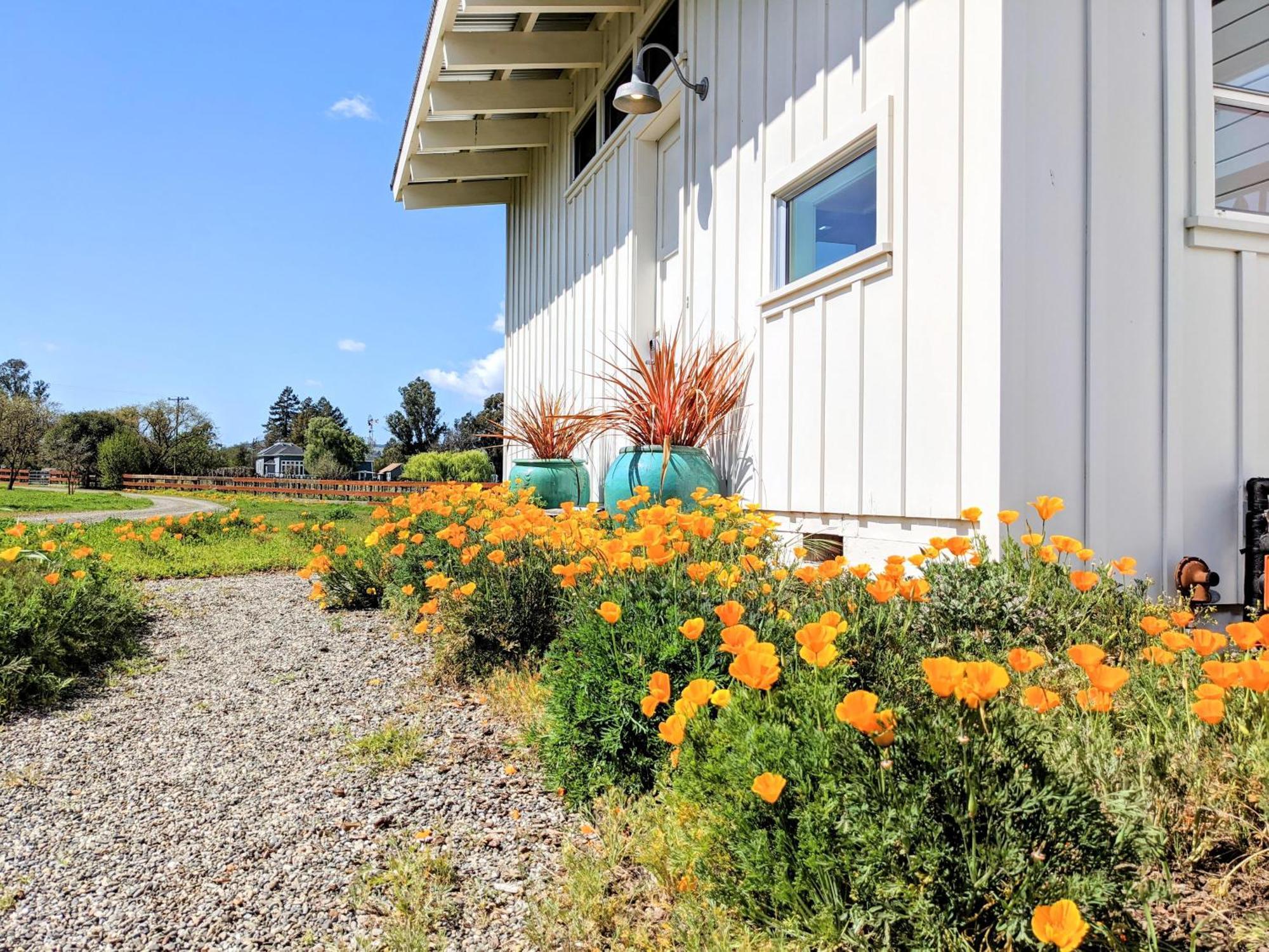 Holiday home Sonoma-napa Wine Country Retreat, Surrounded By Vineyards, Views, Privacy *