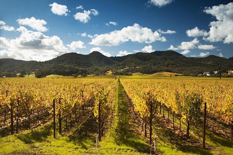 Wine Country - Nearby Wineries 3bd2ba Sonoma