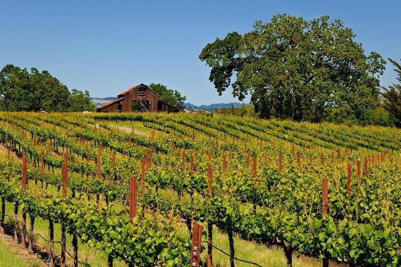 Enchanting Wine Country Retreat 3bd2ba Holiday home