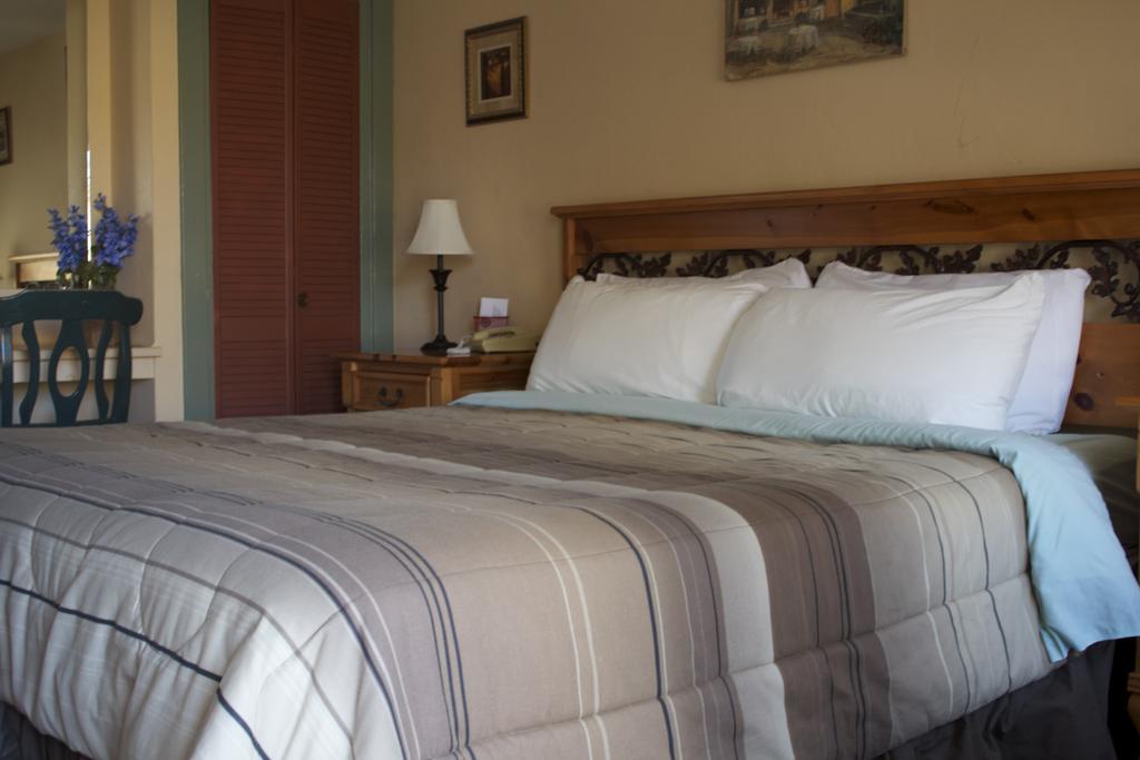 Vineyard Hotel Sonoma